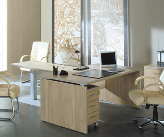 Кабинет руководителя Патриот