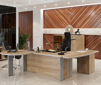 Кабинет руководителя DIONI