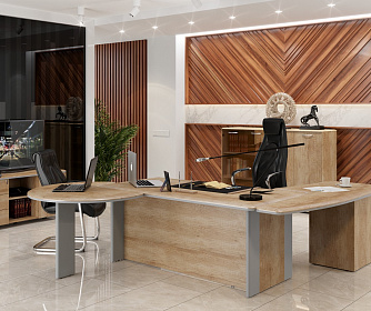 Кабинет руководителя DIONI