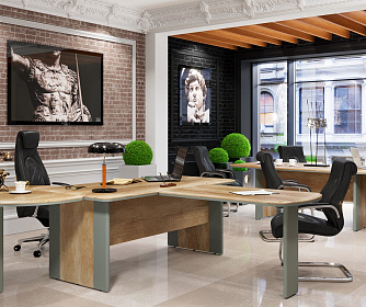 Кабинет руководителя DIONI