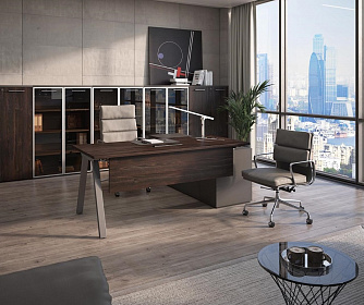 Кабинет руководителя MEGAPOLIS