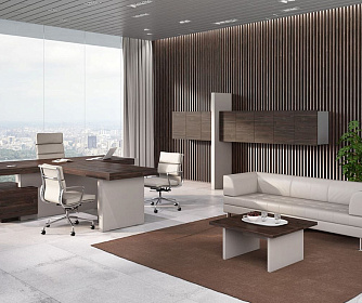 Кабинет руководителя ERA