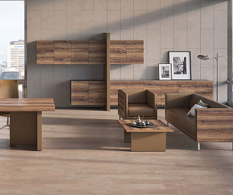 Кабинет руководителя ERA