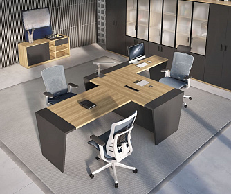 Кабинет руководителя TOWER