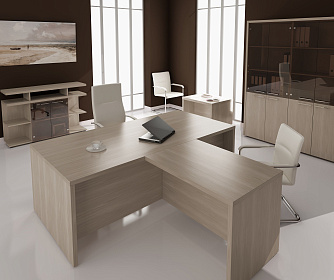 Кабинет руководителя TAIM-MAX