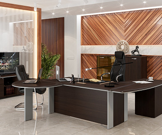 Кабинет руководителя DIONI