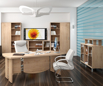 Кабинет руководителя BORN - ЭйБиСи-проджект Кабинет руководителя BORN