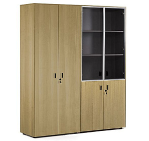 Шкаф комбинированный + шкаф для бумаг Enzo 1620x440x1970 - ЭйБиСи-проджект Шкаф комбинированный + шкаф для бумаг Enzo 1620x440x1970