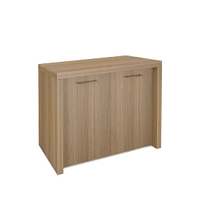 Шкаф низкий с полкой 1000х500х787 - ЭйБиСи-проджект Шкаф низкий с полкой 1000х500х787