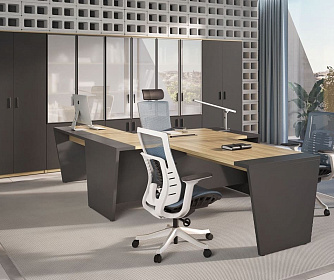 Кабинет руководителя TOWER