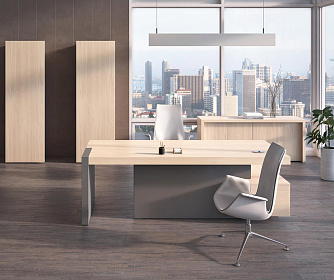 Кабинет руководителя ERA