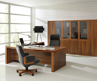 Кабинет руководителя EUR