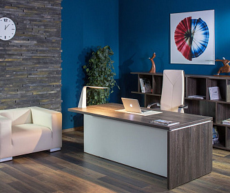 Кабинет руководителя TERRA