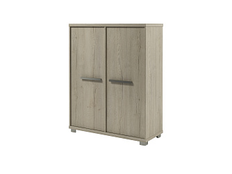 Шкаф двухсекционный 1232х500х1538