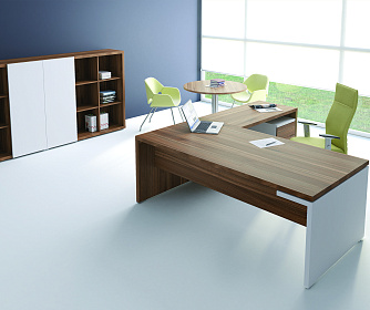 Кабинет руководителя ZION