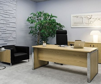 Офисный диван VISPO Wood