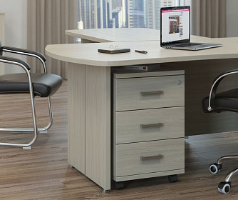 Кабинет руководителя BONN