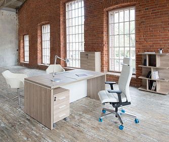 Кабинет руководителя TERRA