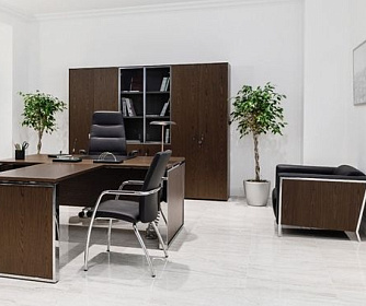 Офисный диван VISPO Wood