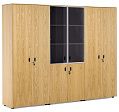 Шкаф комбинированный+гардероб+для бумаг 2420x440x1970