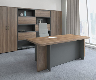 Кабинет руководителя Faber