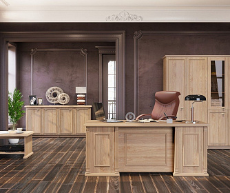 Кабинет руководителя RAUT