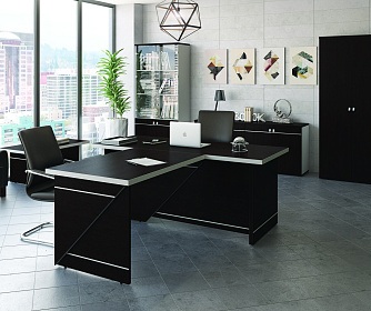 Кабинет руководителя ZOOM