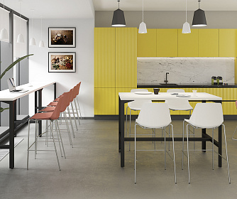 Столы обеденные Ray High