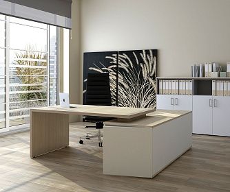 Кабинет руководителя Norman