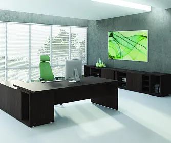 Кабинет руководителя ZION