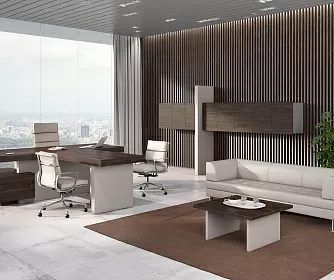 Кабинет руководителя ERA