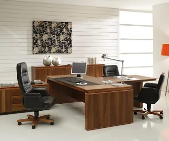 Кабинет руководителя EUR