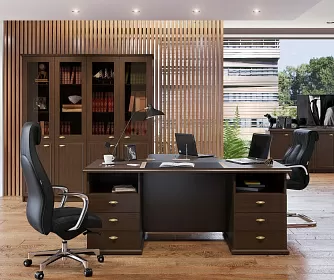 Кабинет руководителя RAUT