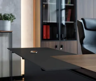 Кабинет руководителя RENZ