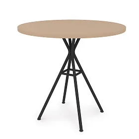 VERONA Стол обеденный 800х800х740