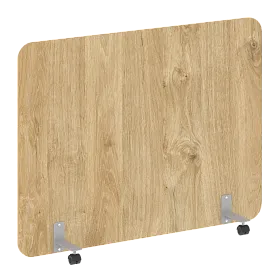 Перегородка на металлических опорах, на роликах, DP.R-160-120, 1600x18x1200