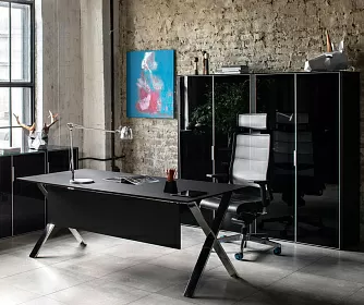 Кабинет руководителя ANCONA