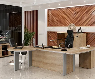 Кабинет руководителя DIONI