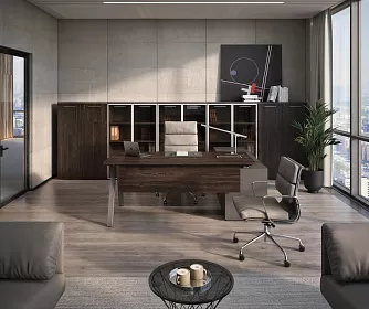 Кабинет руководителя MEGAPOLIS