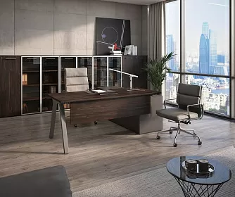 Кабинет руководителя MEGAPOLIS