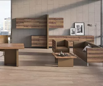 Кабинет руководителя ERA