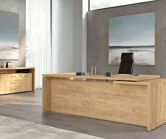 Кабинет руководителя TORR Z