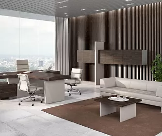 Кабинет руководителя ERA