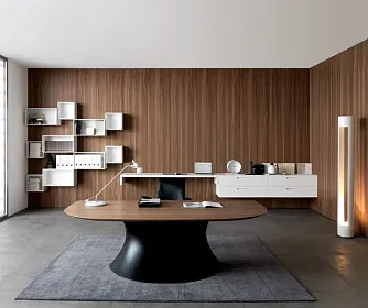 Кабинет руководителя OLA