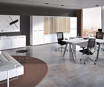 Кабинет руководителя MEGAPOLIS