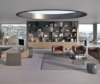 Кабинет руководителя FOSTER