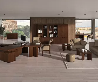 Кабинет руководителя MUX