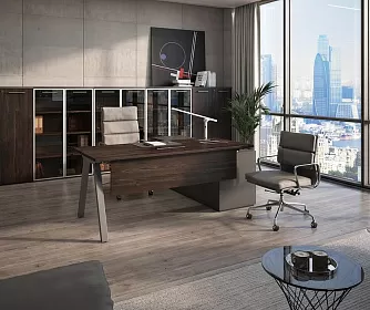 Кабинет руководителя MEGAPOLIS