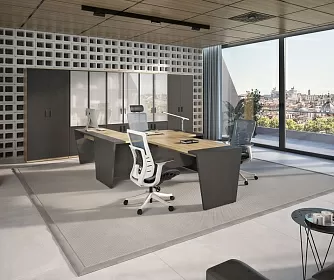 Кабинет руководителя TOWER