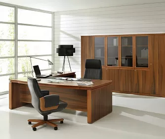 Кабинет руководителя EUR